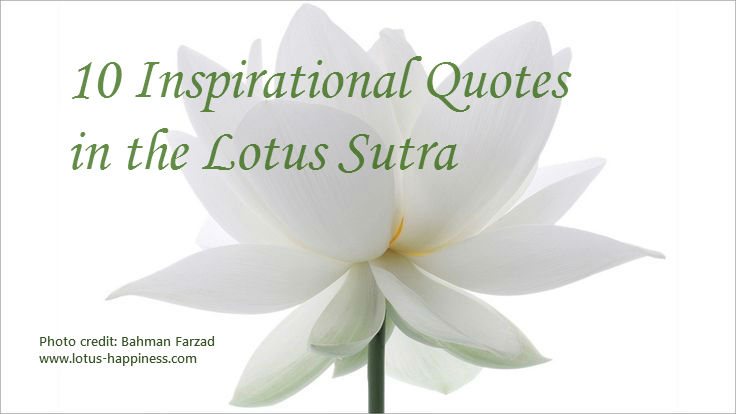 Pic_10 Inspirational Quotes in the Lotus Sutra