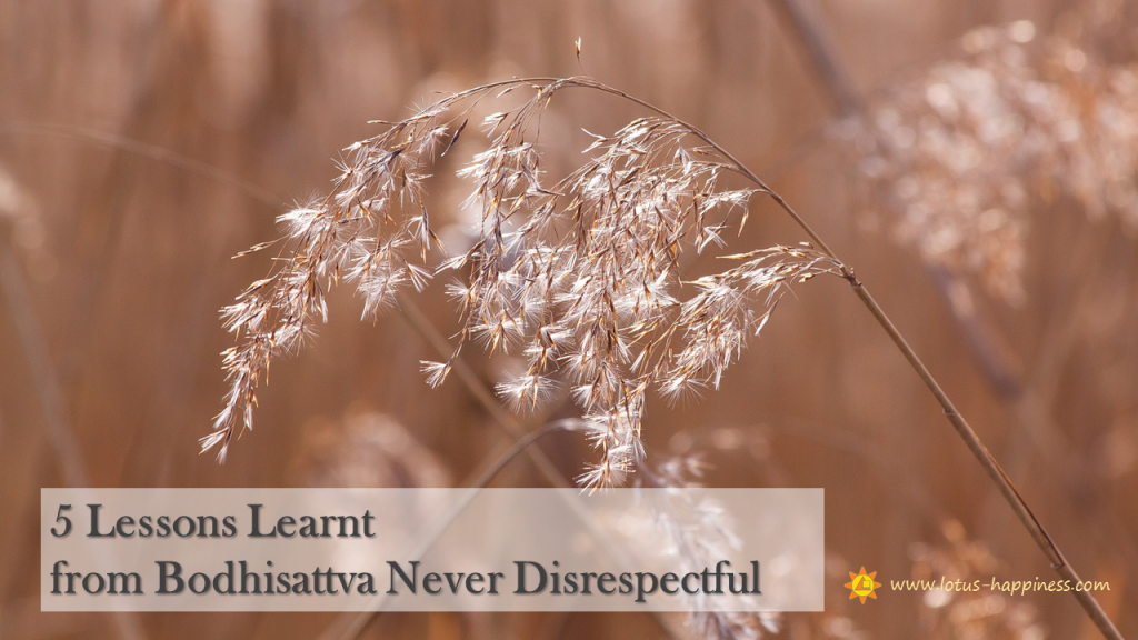 5 Lessons Learnt from Bodhisattva Never Disrespectful - Title
