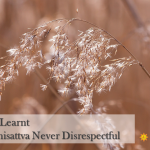 Five Lessons Learnt from Bodhisattva Never Disrespectful