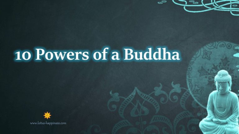 The 52 Stages of Bodhisattva Practices - Lotus Happiness