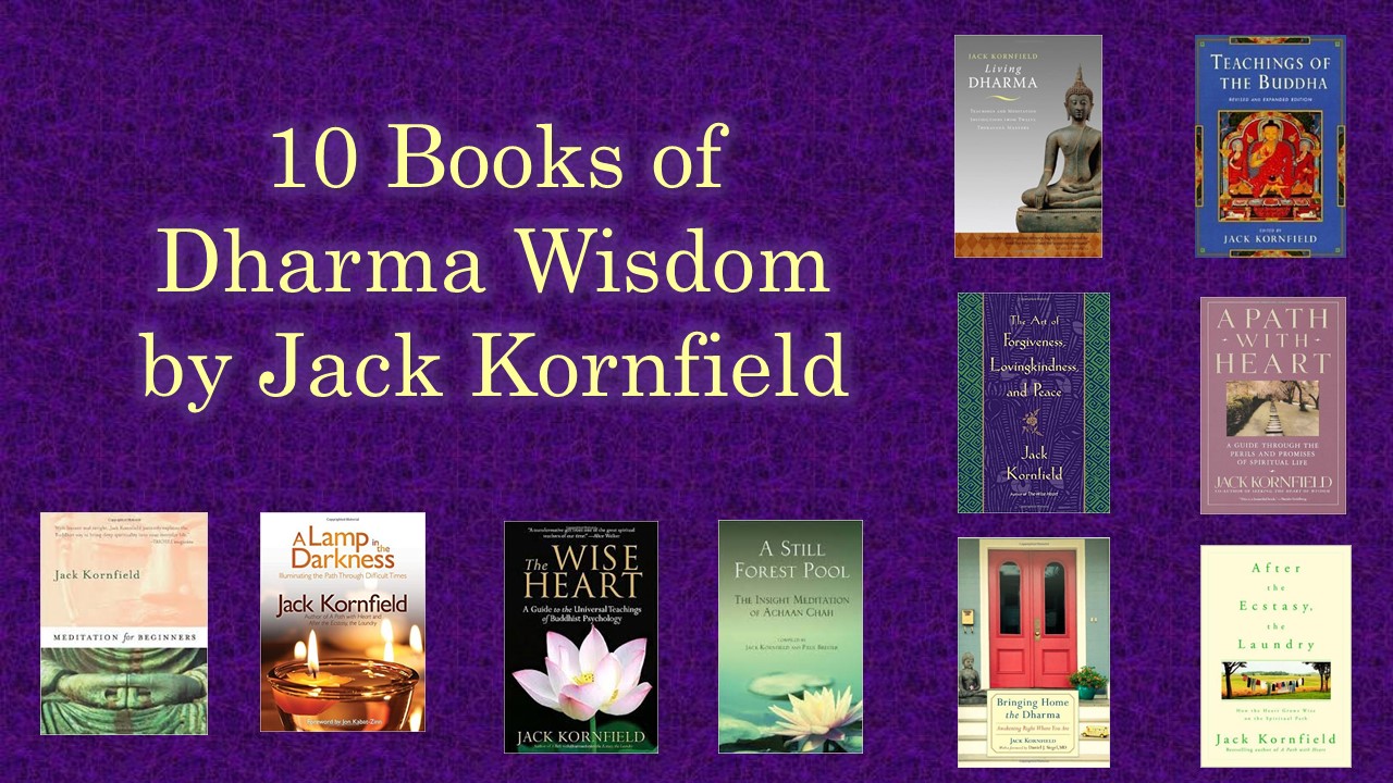 fry Psychologically Political 10 Books of Dharma Wisdom by Jack Kornfield - Lotus Happiness