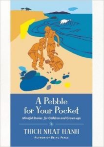 a-pebble-in-your-pocket