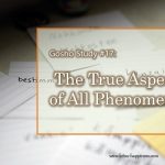 Gosho Study #17: The True Aspect of All Phenomena