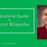 10 Inspirational Quotes by Mingyur Rinpoche