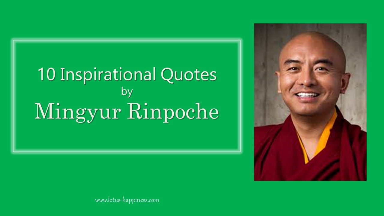 10 Inspirational Quotes by Mingyur Rinpoche - Lotus Happiness, image size:1280x720